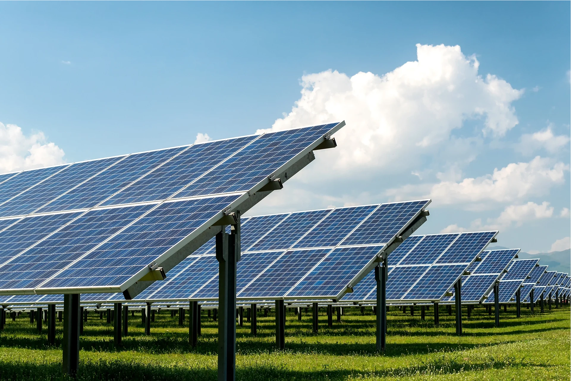 Solar modules in the field